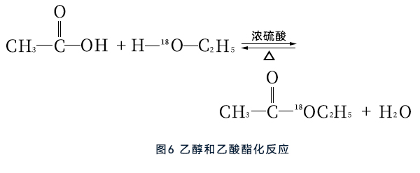 乙醇和乙酸酯化反應